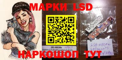мдпв Бердск