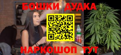 мдпв Бердск