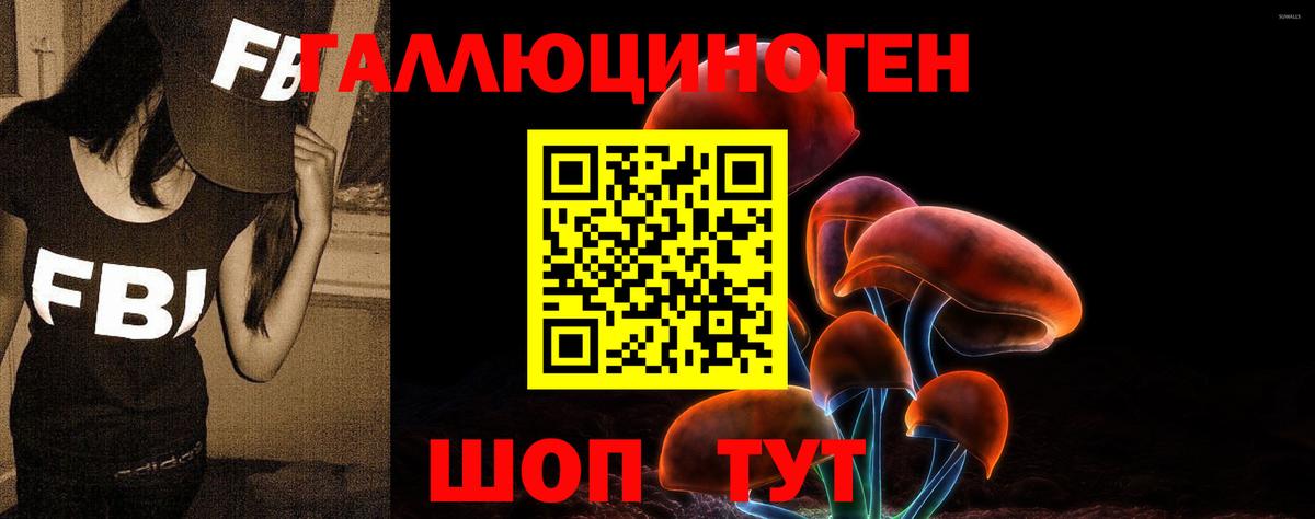 Асино  Галлюциногенные грибы Psilocybine cubensis  Вход с VPN 