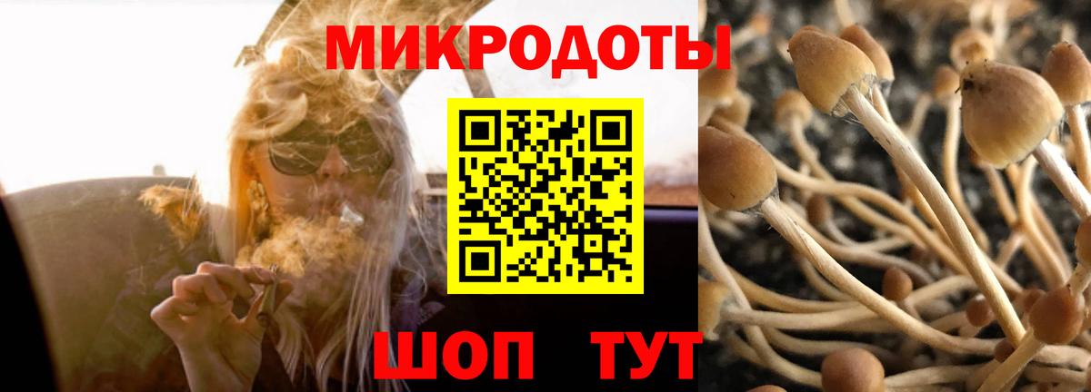 Галлюциногенные грибы прущие грибы Асино